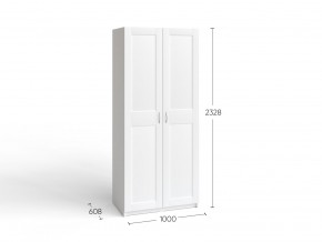 2.06.01.050.4 МАКС шкаф 2 двери 100х61х233 серый RU в Пойковском - poikovskii.ok-mebel.com | фото 4