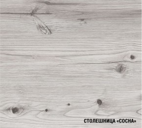 АСАЯ Кухонный гарнитур Экстра 2 (3000 мм) ПМ в Пойковском - poikovskii.ok-mebel.com | фото 8
