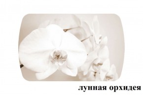 БОСТОН - 3 Стол раздвижной Лунная орхидея 1100/1420 опоры Триумф в Пойковском - poikovskii.ok-mebel.com | фото 2
