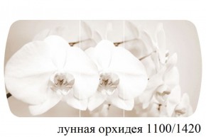БОСТОН - 3 Стол раздвижной Лунная орхидея 1100/1420 опоры Триумф в Пойковском - poikovskii.ok-mebel.com | фото 3