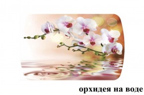 БОСТОН - 3 Стол раздвижной Орхидея на воде 1100/1420 опоры Триумф в Пойковском - poikovskii.ok-mebel.com | фото 2