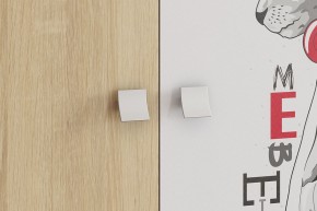 ЭНЕРДЖИ Шкаф 2-створчатый в Пойковском - poikovskii.ok-mebel.com | фото 4
