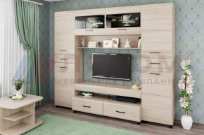 Гостиная Камелия Композиция 10 (Ясень Асахи) в Пойковском - poikovskii.ok-mebel.com | фото