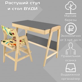 Комплект растущий стол и стул с чехлом 38 попугаев «Вуди» (Серый, Без покрытия, Монстры) в Пойковском - poikovskii.ok-mebel.com | фото 1