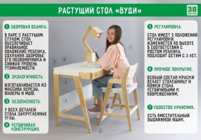 Комплект растущий стол и стул с чехлом 38 попугаев «Вуди» (Серый, Без покрытия, Розовый) в Пойковском - poikovskii.ok-mebel.com | фото
