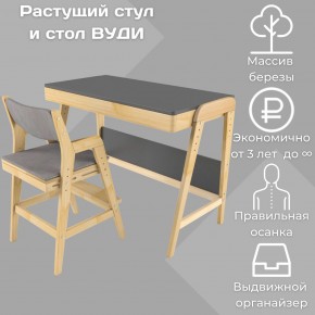 Комплект растущий стол и стул с чехлом 38 попугаев «Вуди» (Серый, Без покрытия, Серый) в Пойковском - poikovskii.ok-mebel.com | фото