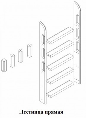 Кровать Сонечка 2-х ярусная (модульная) в Пойковском - poikovskii.ok-mebel.com | фото 12