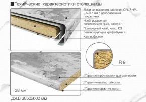 Кухонный фартук со столешницей (А-011) в едином стиле (3050 мм) в Пойковском - poikovskii.ok-mebel.com | фото 6