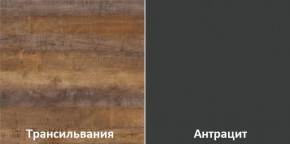 Кухонный гарнитур угловой Трансильвания 2600х1600 мм (Стол. 26 мм) в Пойковском - poikovskii.ok-mebel.com | фото 3