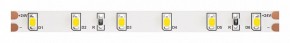 Лента светодиодная Maytoni Led strip 10138 в Пойковском - poikovskii.ok-mebel.com | фото