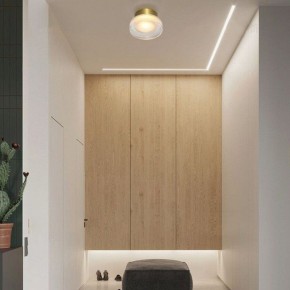 Накладной светильник Imperiumloft LILO Brass lilo01 в Пойковском - poikovskii.ok-mebel.com | фото 5