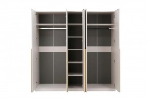 НИКОЛЬ 25 Шкаф 5-ти створчатый в Пойковском - poikovskii.ok-mebel.com | фото 3