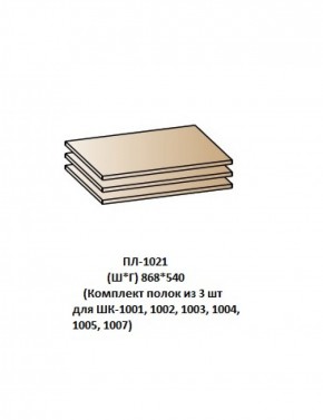 ПЛ-1021 (Комплект полок из 3 шт для ШК-1001, 1002, 1003, 1004, 1005, 1007) в Пойковском - poikovskii.ok-mebel.com | фото