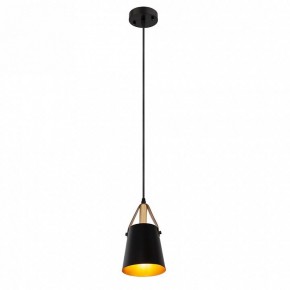 Подвесной светильник Arte Lamp Thomas A7032SP-1BK в Пойковском - poikovskii.ok-mebel.com | фото 3