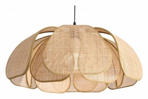 Подвесной светильник Freya Cocoon FR5529PL-01B в Пойковском - poikovskii.ok-mebel.com | фото