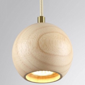 Подвесной светильник Odeon Light Caucho 7061/1 в Пойковском - poikovskii.ok-mebel.com | фото 2