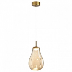 Подвесной светильник Odeon Light Nave 5098/4L в Пойковском - poikovskii.ok-mebel.com | фото 2