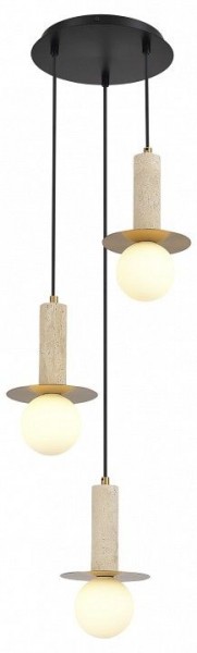 Подвесной светильник ST-Luce Earthy SL1194.303.03 в Пойковском - poikovskii.ok-mebel.com | фото 3