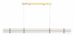 Подвесной светильник ST-Luce FAGY SL6245.223.01 в Пойковском - poikovskii.ok-mebel.com | фото 3