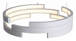 Подвесной светильник ST-Luce Genuine SL963.503.01 в Пойковском - poikovskii.ok-mebel.com | фото