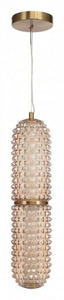Подвесной светильник ST-Luce SAGUARO SL6144.303.01 в Пойковском - poikovskii.ok-mebel.com | фото 3