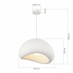 Подвесной светильник ST-Luce WABI SABI SL1522.513.01 в Пойковском - poikovskii.ok-mebel.com | фото 5