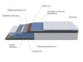 PROxSON Матрас Active Duo M/F (Ткань Трикотаж Эко) 140x190 в Пойковском - poikovskii.ok-mebel.com | фото 7