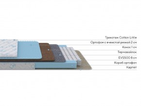 PROxSON Матрас Совенок (Cotton Little PROSON) 70x190 в Пойковском - poikovskii.ok-mebel.com | фото 2