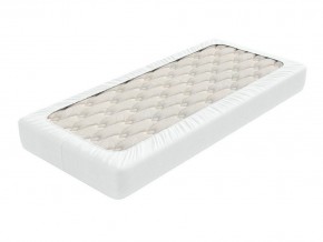 PROxSON Защитный чехол Aqua Save Light S (Ткань влагостойкая Tencel Jersey) 90x220 в Пойковском - poikovskii.ok-mebel.com | фото 2