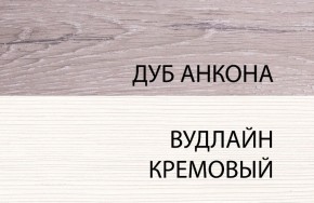 Шкаф 1DZ, OLIVIA, цвет вудлайн крем/дуб анкона в Пойковском - poikovskii.ok-mebel.com | фото 3
