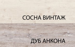 Шкаф 2D1S, MONAKO, цвет Сосна винтаж/дуб анкона в Пойковском - poikovskii.ok-mebel.com | фото