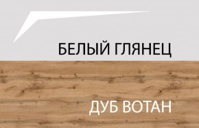 Шкаф 2DG с полками, TAURUS, цвет белый/дуб вотан в Пойковском - poikovskii.ok-mebel.com | фото 4