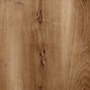 Шкаф гардеробный угловой 900 Сеул в Пойковском - poikovskii.ok-mebel.com | фото 4
