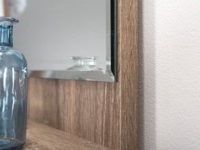 Шкаф комбинированный 10.13 Темпо в Пойковском - poikovskii.ok-mebel.com | фото 4