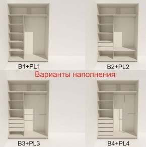 Шкаф-купе 1400 серии SOFT D8+D2+B2+PL4 (2 ящика+F обр.штанга) профиль «Графит» в Пойковском - poikovskii.ok-mebel.com | фото 6