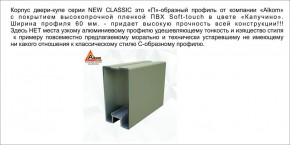 Шкаф-купе 1500 серии NEW CLASSIC K2+K2+B2+PL2(2 ящика+1 штанга+1 полка) профиль «Капучино» в Пойковском - poikovskii.ok-mebel.com | фото 17