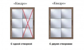 Шкаф-купе №19 Серия 3 Квадро (1700) Ясень Анкор светлый в Пойковском - poikovskii.ok-mebel.com | фото 3