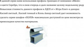 Шкаф-купе 2250 серии SILVER S3+S1+S3Z B22+PL2 (по 2 ящика лев/прав+1штанга+1 полка) профиль «Серебро» в Пойковском - poikovskii.ok-mebel.com | фото 4