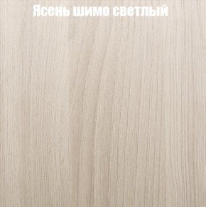 Шкаф-купе «ТАНДЕМ» 2-х дверный в алюминиевом профиле (Дверь К+К) 1600/h2200 в Пойковском - poikovskii.ok-mebel.com | фото 6