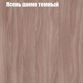 Шкаф-купе «ТАНДЕМ» 2-х дверный в алюминиевом профиле (Дверь К+К) 1600/h2200 в Пойковском - poikovskii.ok-mebel.com | фото 7