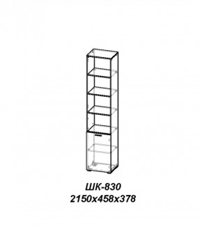 Шкаф Лотос ШК-830 Ясень шимо темный в Пойковском - poikovskii.ok-mebel.com | фото