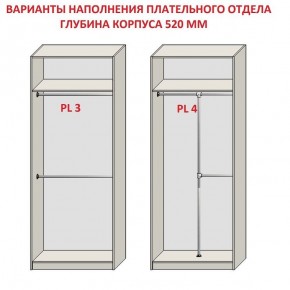 Шкаф распашной серия «ЗЕВС» (PL3/С1/PL2) в Пойковском - poikovskii.ok-mebel.com | фото 10