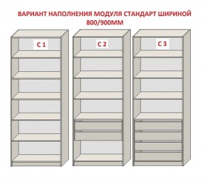 Шкаф распашной серия «ЗЕВС» (PL3/С1/PL2) в Пойковском - poikovskii.ok-mebel.com | фото 6