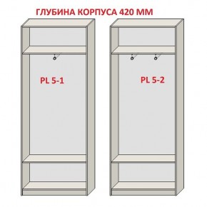 Шкаф распашной серия «ЗЕВС» (PL3/С1/PL2) в Пойковском - poikovskii.ok-mebel.com | фото 8