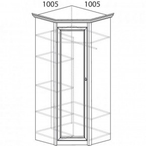 Шкаф угловой №662 "Флоренция" Фасад глухой (угол 1005*1005) Дуб оксфорд в Пойковском - poikovskii.ok-mebel.com | фото 3