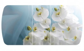 Стол Бостон-3 (Белая Орхидея) 1100/1420*700, опора Брифинг в Пойковском - poikovskii.ok-mebel.com | фото 2