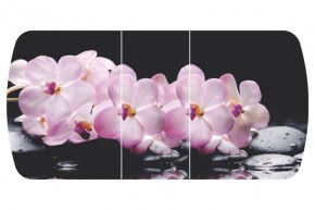 Стол Бостон-3 (Розовая Орхидея) 1100/1420*700, опора Брифинг в Пойковском - poikovskii.ok-mebel.com | фото 2