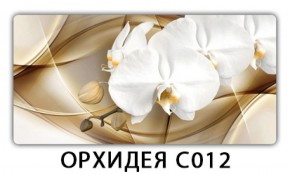 Стол раздвижной Трилогия с фотопечатью Орхидея C012 в Пойковском - poikovskii.ok-mebel.com | фото 13