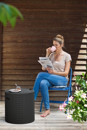 Столик-холодильник Кул-Стул (Cool stool) графит в Пойковском - poikovskii.ok-mebel.com | фото