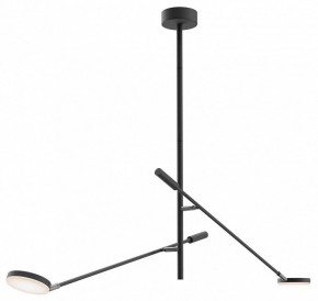 Светильник на штанге Maytoni Fad MOD070CL-L15B3K1 в Пойковском - poikovskii.ok-mebel.com | фото